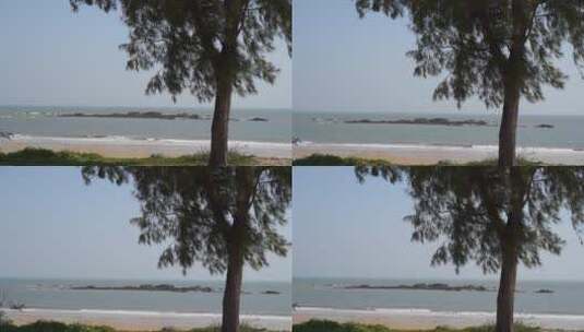 大海沙滩岸边上一棵树唯美海景风景自然风光高清在线视频素材下载