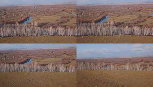 航拍内蒙古根河和额尔古纳河流秋季秋天景色高清在线视频素材下载