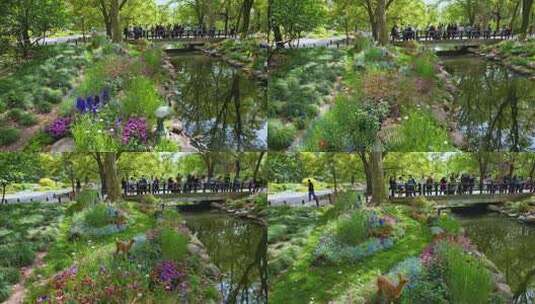 航拍上海·莫奈花园｜共青森林公园·空镜头4K高清在线视频素材下载