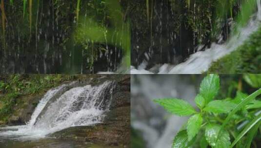 青苔山泉水流水大自然水4k高清在线视频素材下载