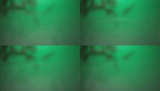 水滴落 涟漪 绿色 意境高清在线视频素材下载