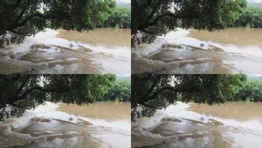连续强降雨上涨的河水 洪峰 洪水高清在线视频素材下载