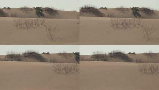 沙漠上的沙丘高清在线视频素材下载
