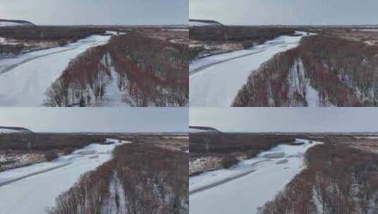 航拍北国之春湿地雪景红柳高清在线视频素材下载