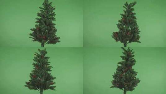 圣诞树孤立在色度绿屏背景满高清在线视频素材下载