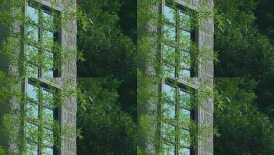 建筑窗户竹子空镜高清在线视频素材下载