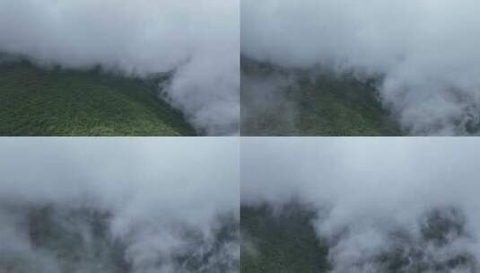 原始森林 云雾 航拍高清在线视频素材下载
