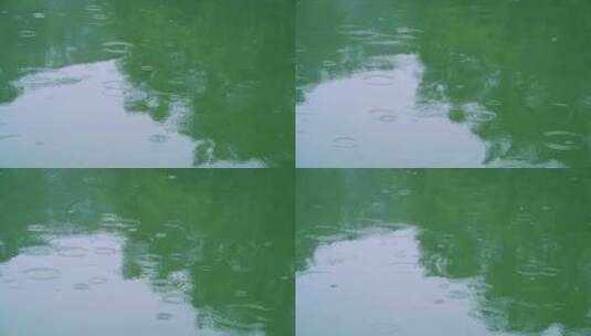 湖面雨滴水波涟漪高清在线视频素材下载