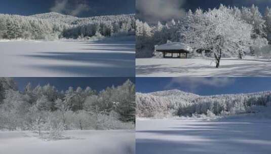 冬季雾凇雪景雪地雪山森林雪景高清在线视频素材下载