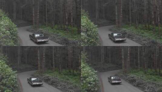 森林里旅行的老爷车高清在线视频素材下载