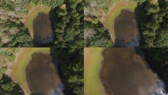 航拍森林里的池塘残留物高清在线视频素材下载