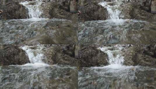 森林里的小溪流高清在线视频素材下载
