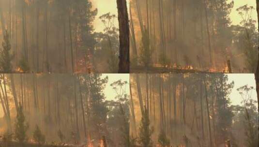 澳大利亚内陆大规模野火正在燃烧高清在线视频素材下载