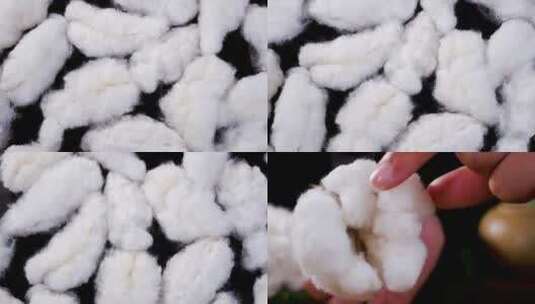 棉花素材高清在线视频素材下载
