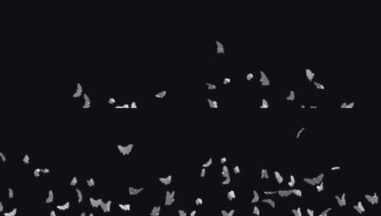 蝴蝶带透明通道高清在线视频素材下载