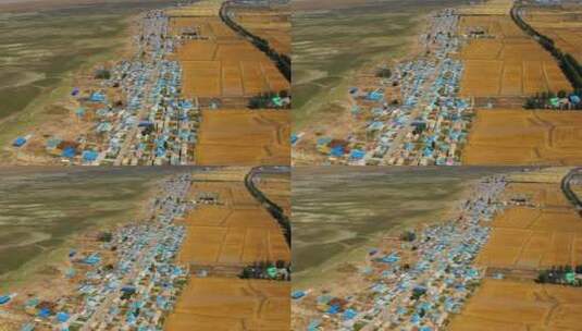 新疆哈密秋季的天山麦田高清在线视频素材下载