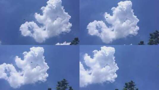 战斗机飞过蓝天白云高清在线视频素材下载