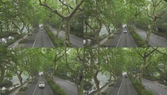 航拍中国杭州夏天杨公堤梧桐树车道车流高清在线视频素材下载