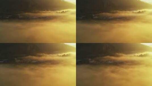 薄雾笼罩的秋林高清在线视频素材下载