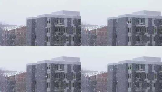 冬天东北城市下大雪高清在线视频素材下载