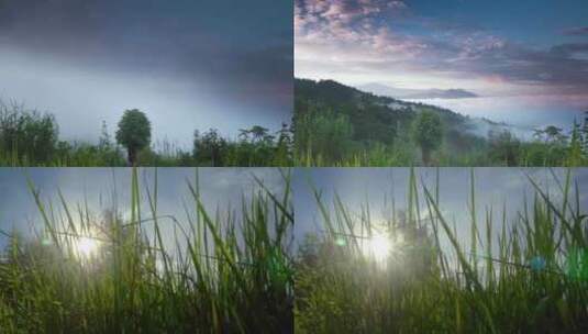 早晨山脉云雾缭绕仙境旅游森林云南风景高清在线视频素材下载