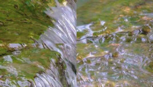 杭州植物园小溪流水特写风景视频素材高清在线视频素材下载