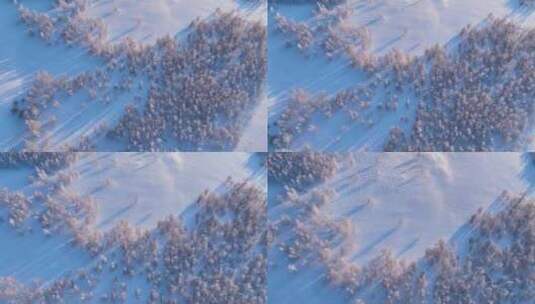 冬季白桦林雪景高清在线视频素材下载