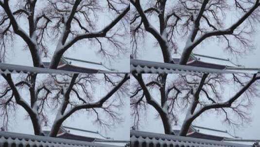 北京雪景 故宫天坛高清在线视频素材下载