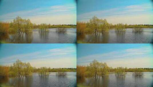 干净湖面垂柳，风光延时摄影高清在线视频素材下载