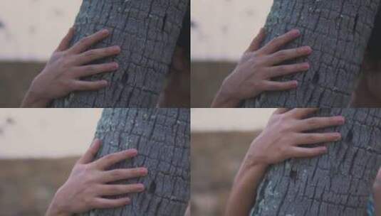 用手触摸树干树皮树木树干高清在线视频素材下载