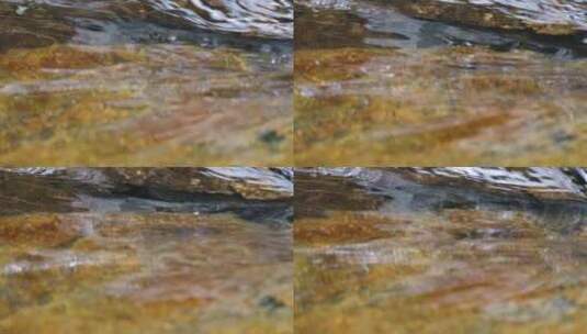 河边流水河流小溪流体液体水流慢动作美景大高清在线视频素材下载
