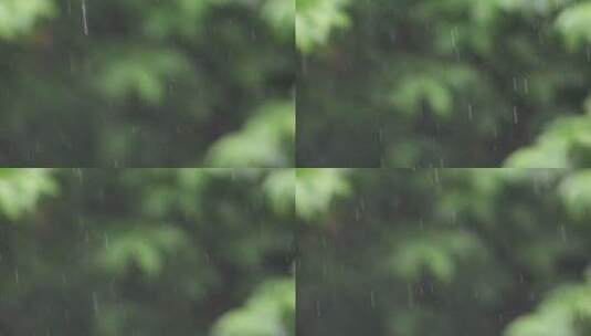 节气谷雨下雨雨滴雨点慢镜头特写高清在线视频素材下载
