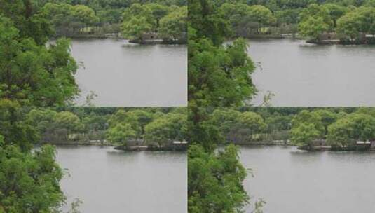 苏州新区何山公园湖景高清在线视频素材下载