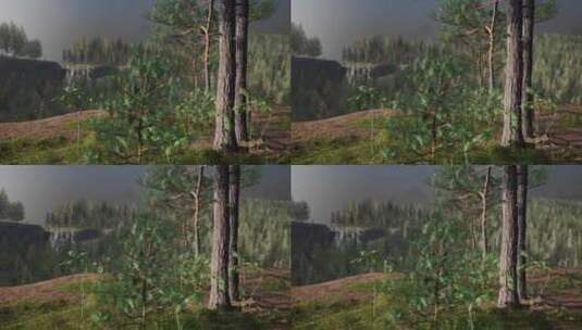 清晨薄雾中森林覆盖的山脉高清在线视频素材下载