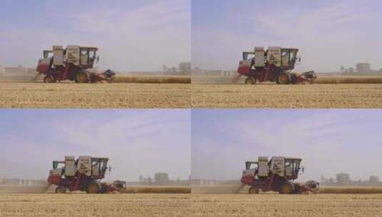 收割机在麦田里收小麦高清在线视频素材下载
