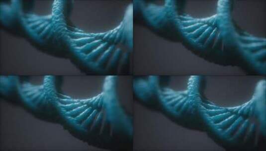 DNA螺旋结构3d模拟高清在线视频素材下载