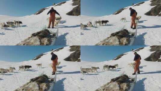 雪橇狗，格陵兰，人，哈士奇高清在线视频素材下载