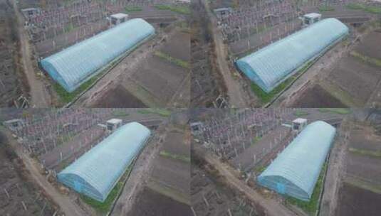 汇报篇蔬菜大棚高清在线视频素材下载