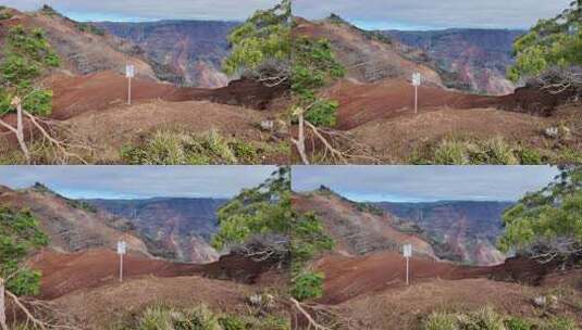 夏威夷考艾岛威米亚峡谷州立公园威米亚峡谷高清在线视频素材下载