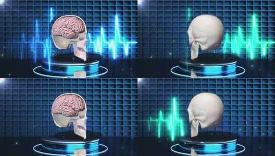 头骨-3D 模型-旋转-渲染高清在线视频素材下载