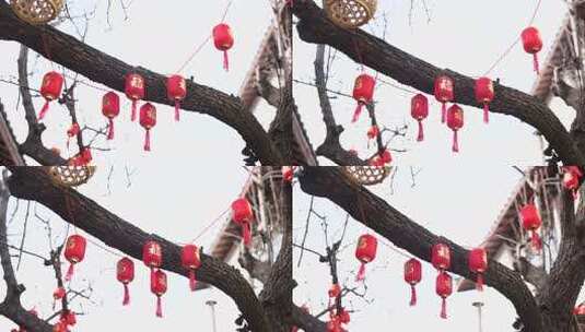 树枝上悬挂的春节红灯笼高清在线视频素材下载