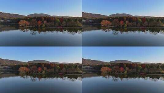 江苏南京灵山风景区前湖秋天秋色航拍高清在线视频素材下载