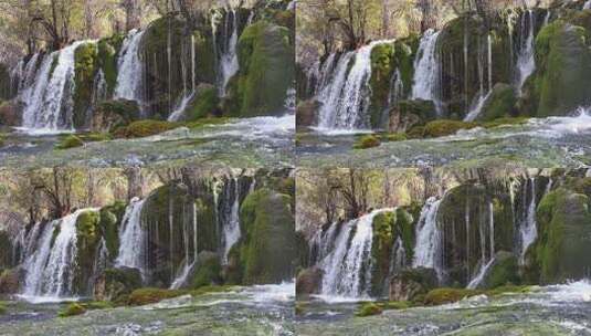 九寨沟箭竹海瀑布水中青苔流水岩石秋天水景高清在线视频素材下载