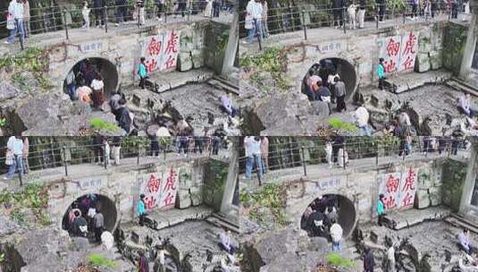 苏州园林虎丘公园高清在线视频素材下载