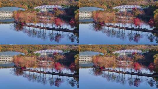 南京秋天 前湖公园 秋天 植物博物馆高清在线视频素材下载