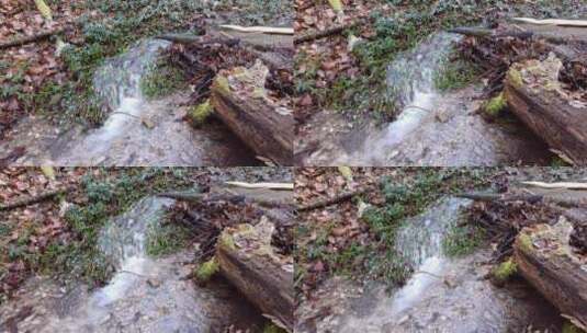 森林中流动的小溪高清在线视频素材下载
