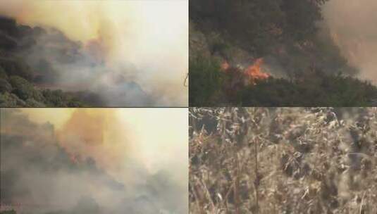 森林山火实拍记录高清在线视频素材下载