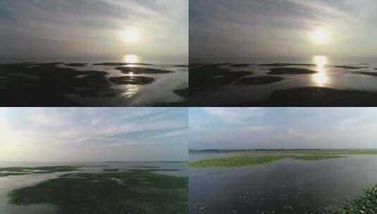 航拍湿地高清在线视频素材下载