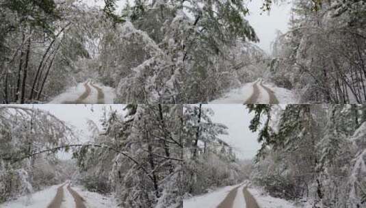 大兴安岭森林公路雪凇春雪景观高清在线视频素材下载