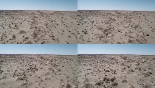 内蒙古额济纳旗巴丹吉林漠中胡杨航拍4K高清在线视频素材下载